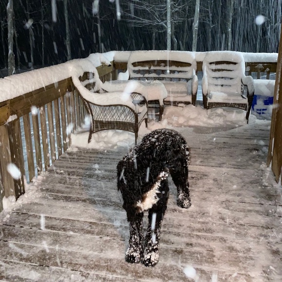 (0-24W; XS-4X) 25% Off ALL Bundles - Picture 11 of 13